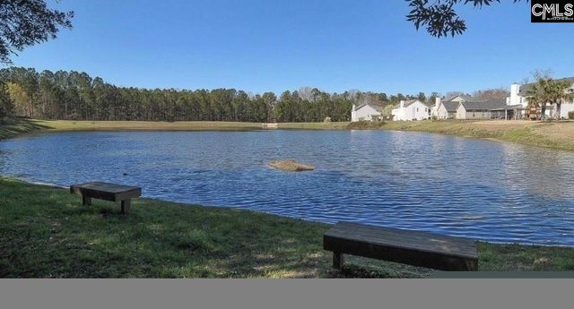 332 Buckthorne Drive, Lexington, SC 29072