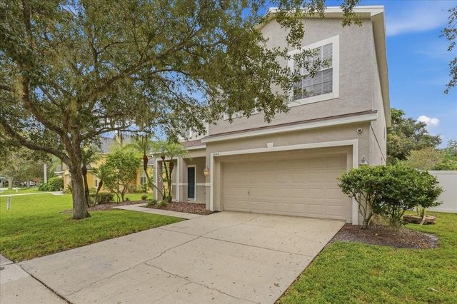 19149 DOVE CREEK DRIVE, Tampa, FL 33647