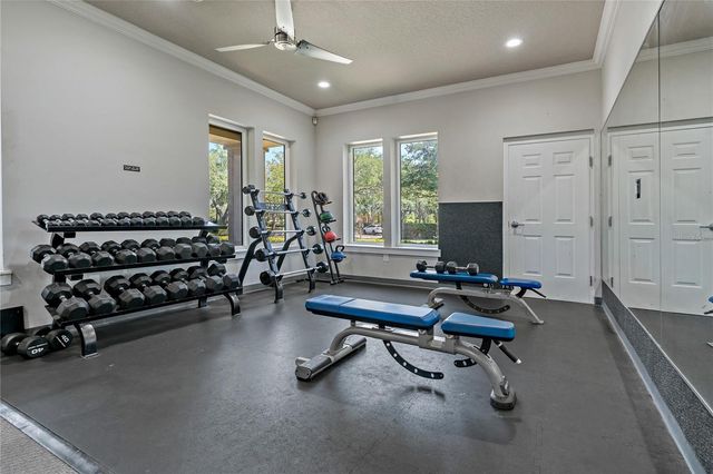 19149 DOVE CREEK DRIVE, Tampa, FL 33647