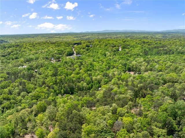 2184 Ben Higgins Road, Dahlonega, GA 30533