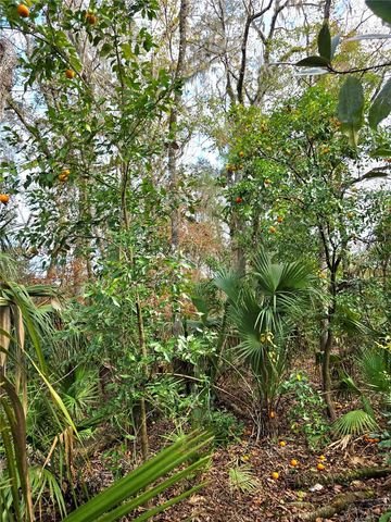 13444 REPUBLICAN WAY, Brooksville, FL 34601