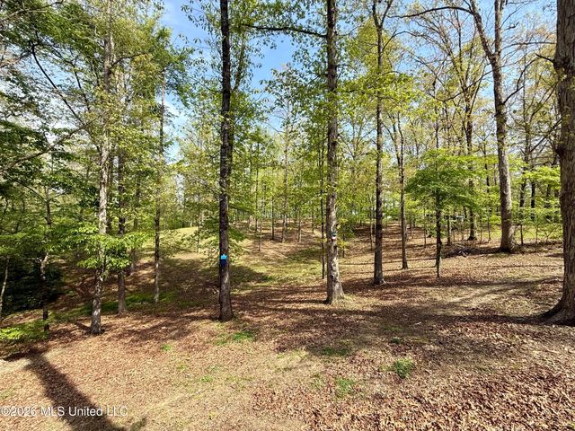 3440 Fir Drive, Olive Branch, MS 38654