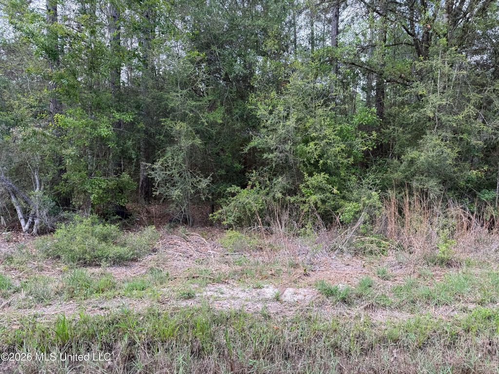 W Jackson Street, Bay Saint Louis, MS 39520