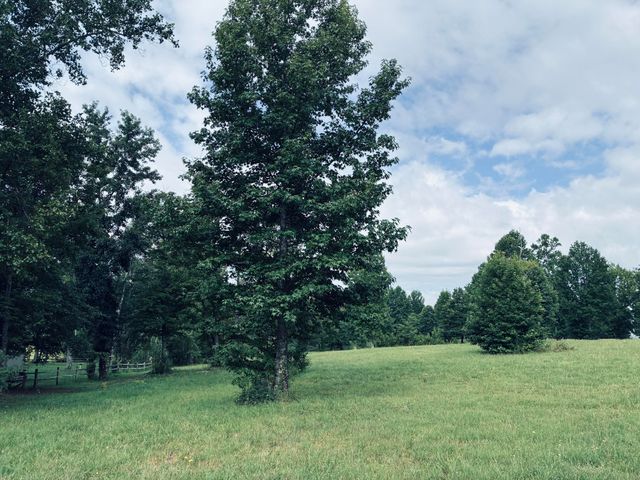 205 Raulston Falls Road Rb-159, Jasper, TN 37347