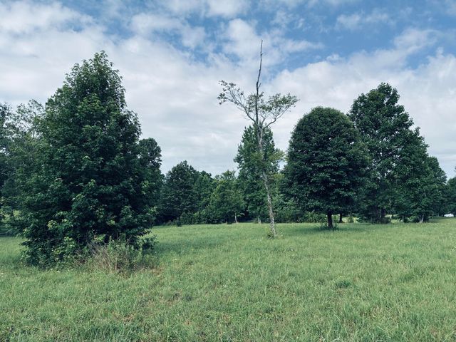 205 Raulston Falls Road Rb-159, Jasper, TN 37347