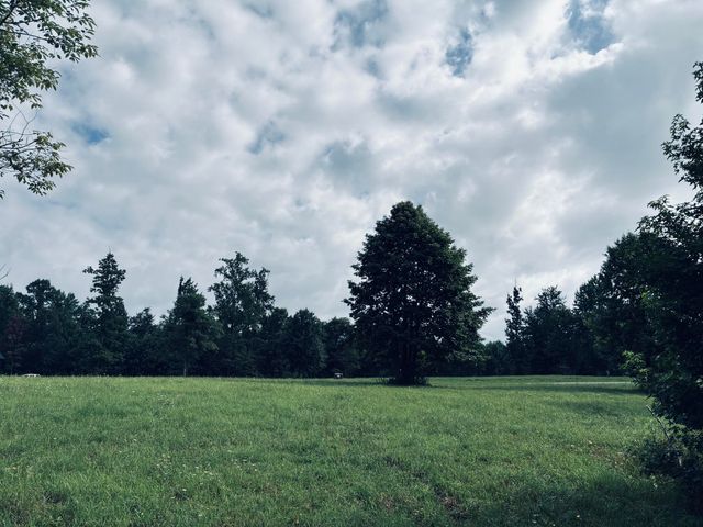 205 Raulston Falls Road Rb-159, Jasper, TN 37347