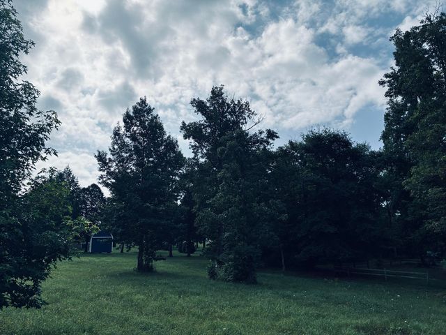 205 Raulston Falls Road Rb-159, Jasper, TN 37347