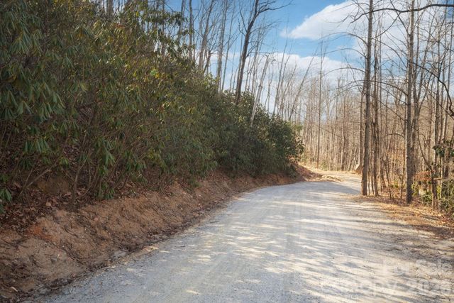 000 Bee Tree Road 103B, Swannanoa, NC 28778