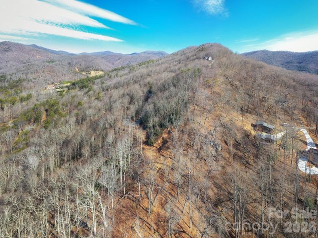 000 Bee Tree Road 103B, Swannanoa, NC 28778