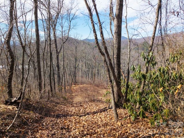 000 Bee Tree Road 103B, Swannanoa, NC 28778