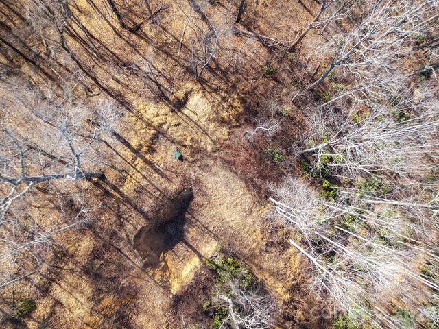 000 Bee Tree Road 103B, Swannanoa, NC 28778