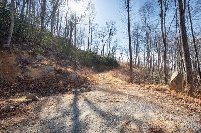000 Bee Tree Road 103B, Swannanoa, NC 28778