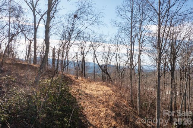000 Bee Tree Road 103B, Swannanoa, NC 28778