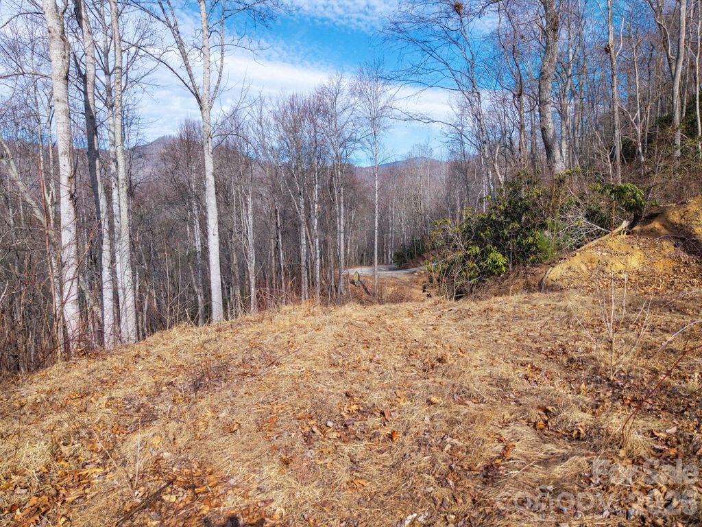 000 Bee Tree Road 103B, Swannanoa, NC 28778