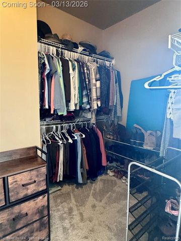 6060 Intrinsic Lane, Imlay City, MI 48444