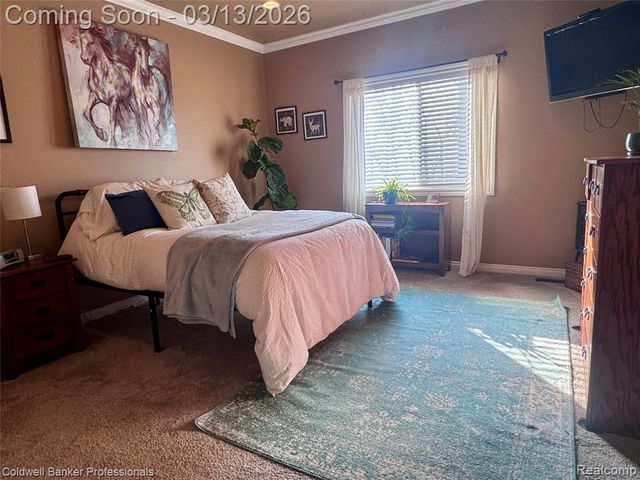 6060 Intrinsic Lane, Imlay City, MI 48444