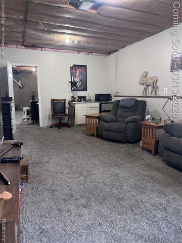 6060 Intrinsic Lane, Imlay City, MI 48444