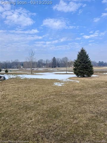 6060 Intrinsic Lane, Imlay City, MI 48444