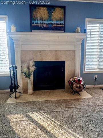 6060 Intrinsic Lane, Imlay City, MI 48444