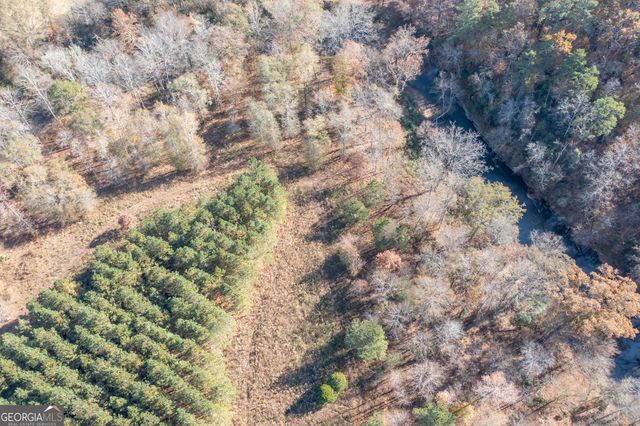 397 Steadman Road, Tallapoosa, GA 30176