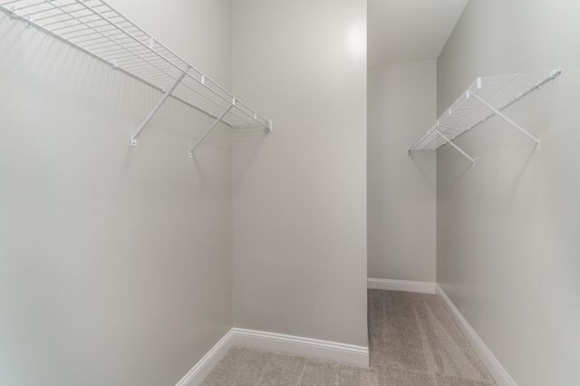 652 Goretown Loop, Loris, SC 29569