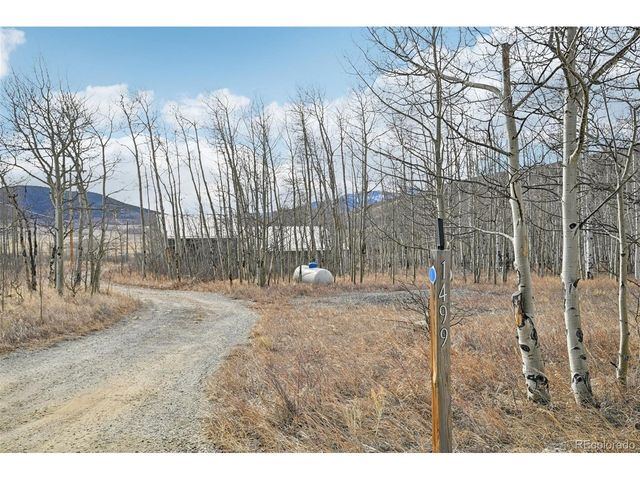 1499 Sheep Ridge Rd, Fairplay, CO 80440