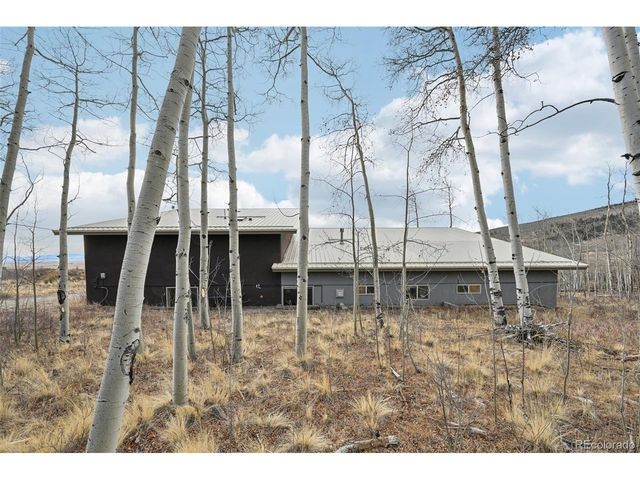1499 Sheep Ridge Rd, Fairplay, CO 80440