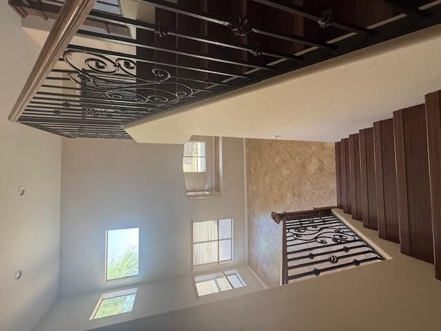 1137 S Larkspur Street, Gilbert, AZ 85296