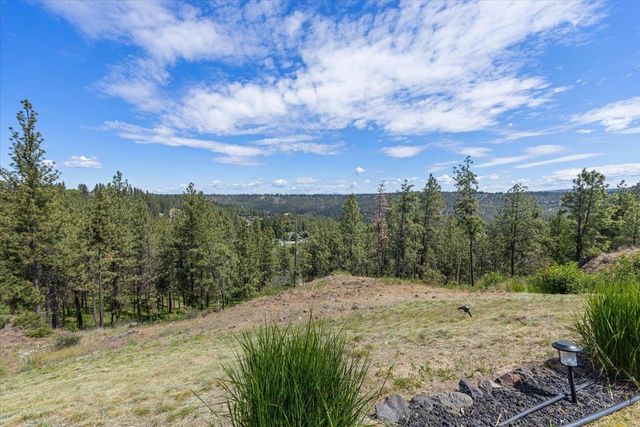 696 W Basalt Ridge Dr, Spokane, WA 99224