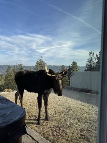 696 W Basalt Ridge Dr, Spokane, WA 99224