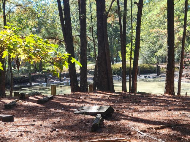 400 Murray Boulevard, Summerville, SC 29483