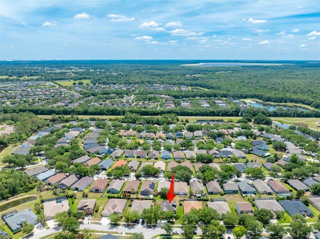 6302 BRIDGEVISTA DRIVE, Lithia, FL 33547