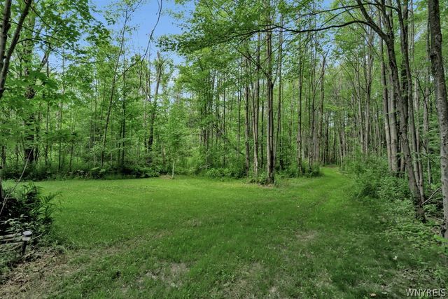 7700 Bleistein Road, Colden, NY 14170