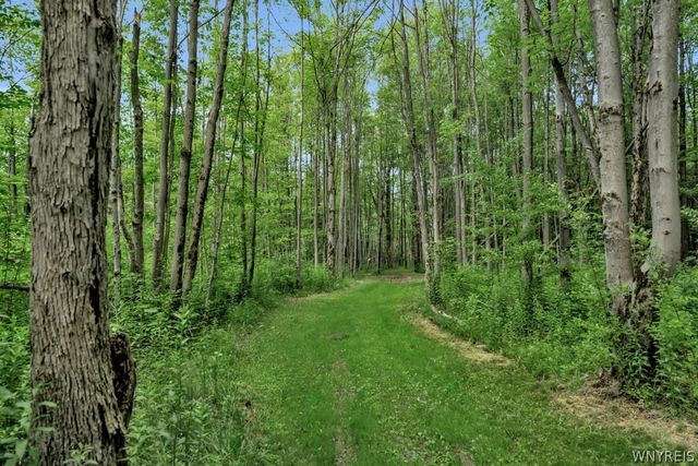 7700 Bleistein Road, Colden, NY 14170