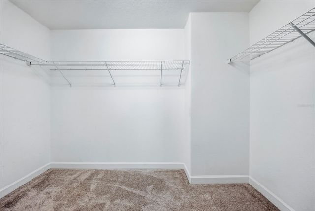 13917 ROSEATE TERN LANE, Riverview, FL 33579