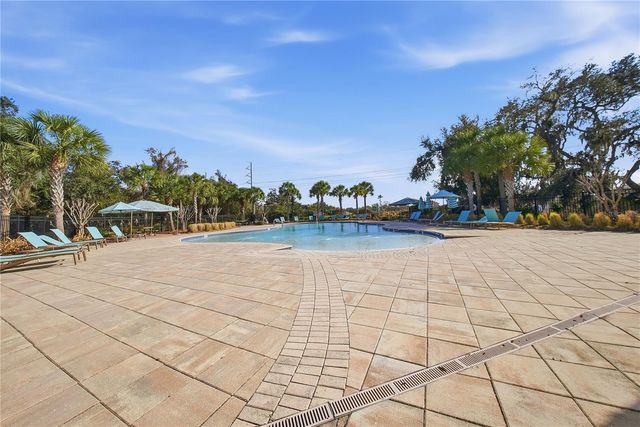 13917 ROSEATE TERN LANE, Riverview, FL 33579