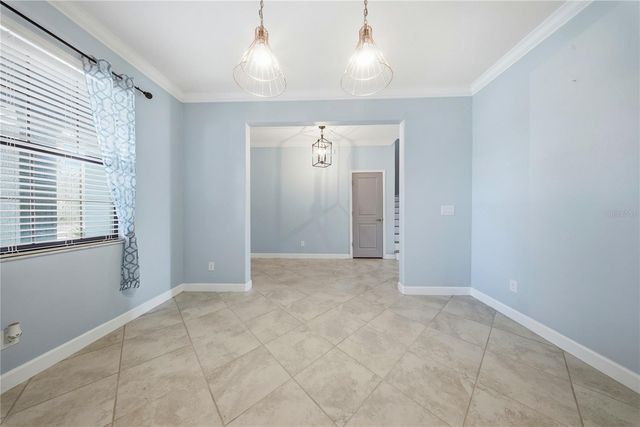 13917 ROSEATE TERN LANE, Riverview, FL 33579