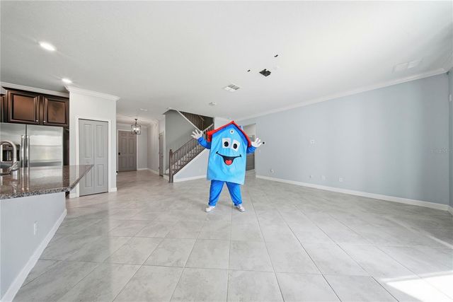 13917 ROSEATE TERN LANE, Riverview, FL 33579