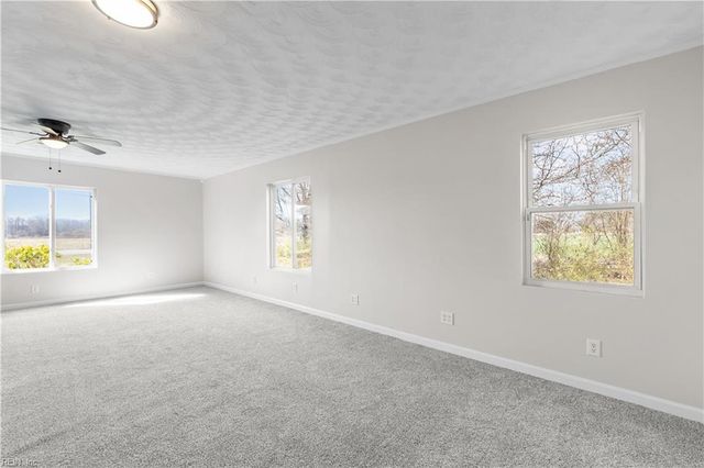 1396 White Marsh RD, Suffolk, VA 23434