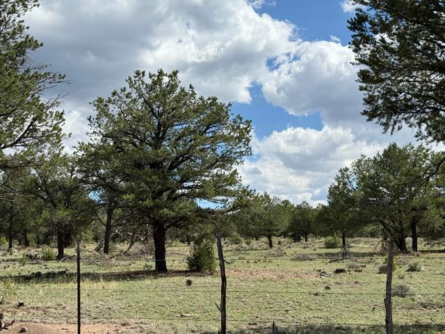 88 EL CASO Road, Quemado, NM 87829