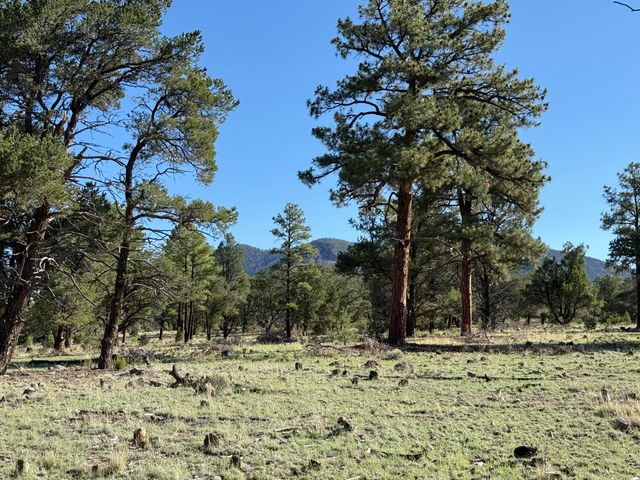 88 EL CASO Road, Quemado, NM 87829