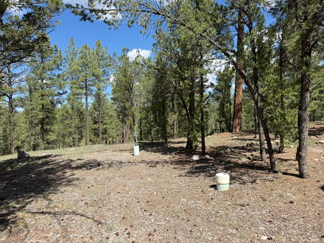 88 EL CASO Road, Quemado, NM 87829