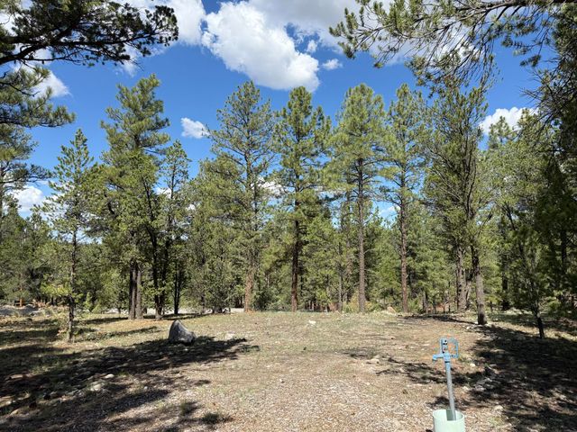 88 EL CASO Road, Quemado, NM 87829