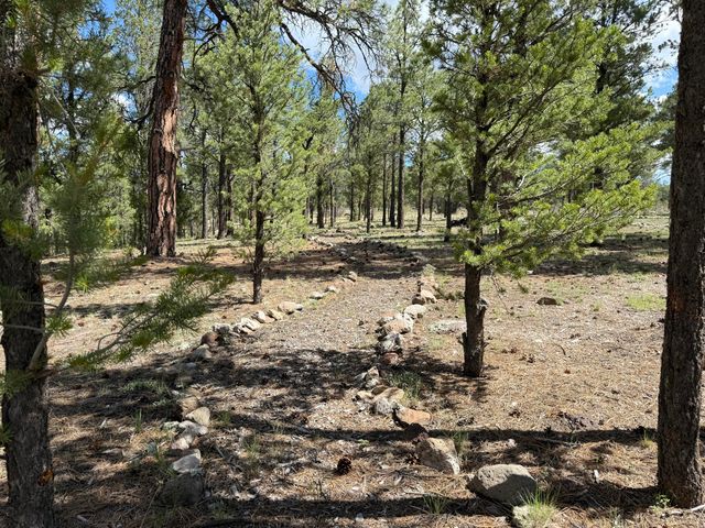 88 EL CASO Road, Quemado, NM 87829