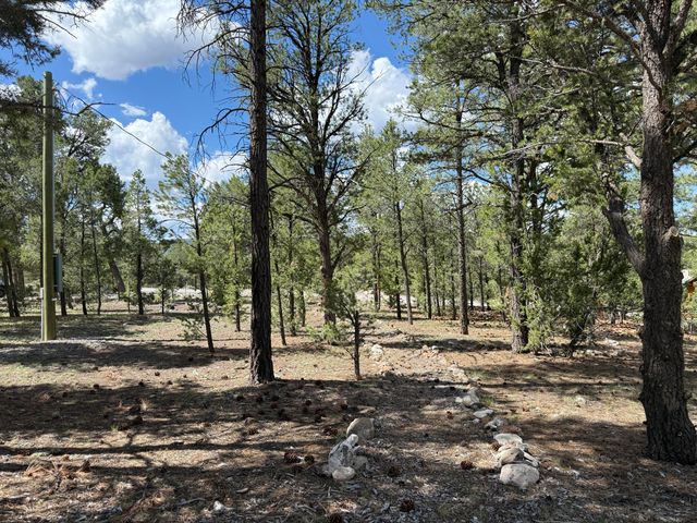 88 EL CASO Road, Quemado, NM 87829