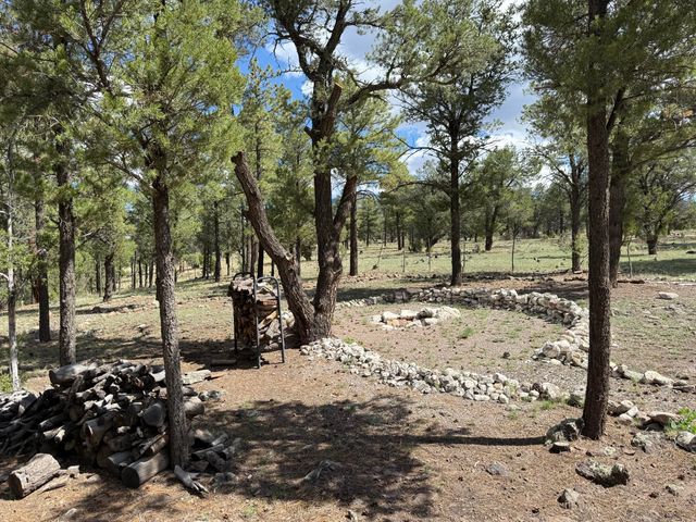 88 EL CASO Road, Quemado, NM 87829