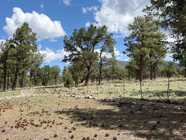 88 EL CASO Road, Quemado, NM 87829