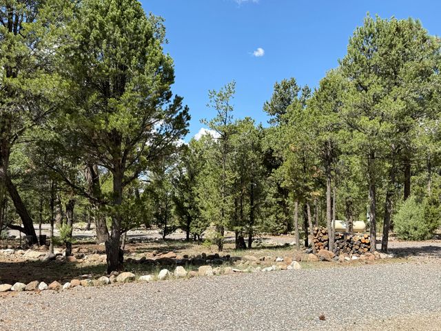 88 EL CASO Road, Quemado, NM 87829