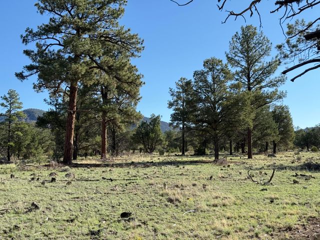 88 EL CASO Road, Quemado, NM 87829