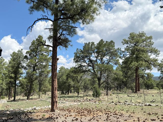 88 EL CASO Road, Quemado, NM 87829